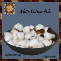 Dried Cotton Pods12 Pc Bag