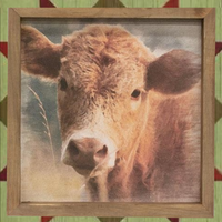Sweetest Cow Portrait Framed