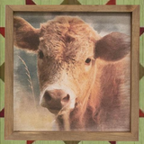 Sweetest Cow Portrait Framed