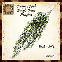 Cream Tipped Baby's Grass Hanging Bush - 34"