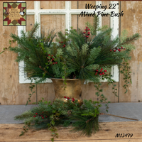 Weeping 22"L Mixed Pine Bush