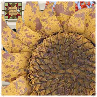 Sunflower Distressed Golden Yellow Metal Hanging Arrow Replacement Sign