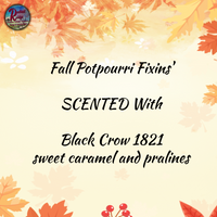 Potpourri Fixins'  Fall ~ Choose your Fall Scent