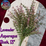 Lavender Asparagus 13" or 23" Bush Perfect for Spring or Summer Artificial