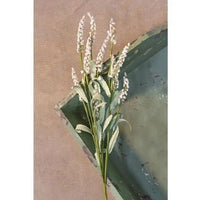 Heather Spray Bush, 20" Choice Lavender, Cream Blush or Purple
