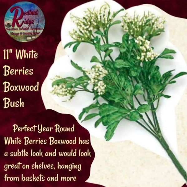 Boxwood White Berries 11" Bush