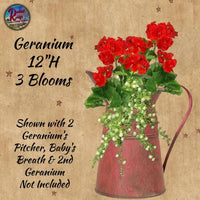 Geranium Bush 12" x3 Blooms