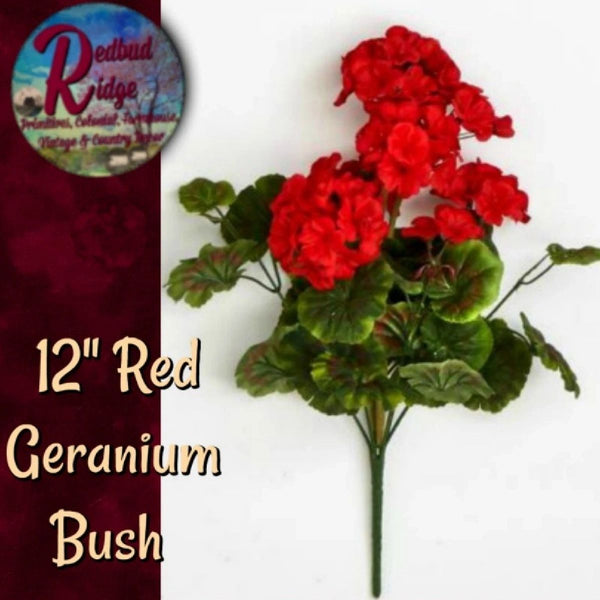Geranium Bush 12" x3 Blooms