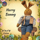 Harry Bunny 16"H