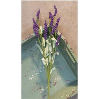 Heather Spray Bush, 20" Choice Lavender, Cream Blush or Purple