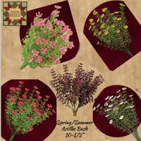 Astilbe 10.5" Spring Bushes Assorted Colors
