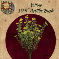 Astilbe 10.5" Spring Bushes Assorted Colors