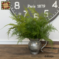 Asparagus Fern 18"H