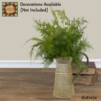 Asparagus Fern 18"H