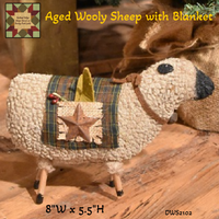 Aged Wooly Sheep with Blanket