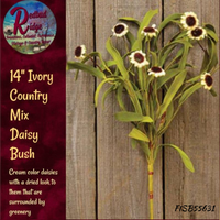 Ivory Country Mix Daisy Bush, 14"H