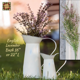 English Lavender Floral ~ As seen in the Country Sampler