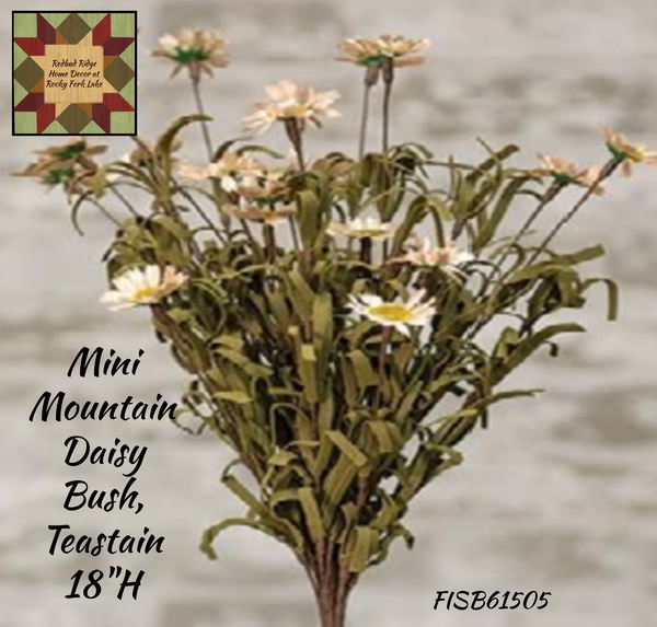 Mini Mountain Daisy Bush, Teastain 18"H