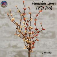 Peachy Pumpkin Spice Pip/Star Wreaths, Pick & Garland