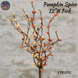 Pumpkin Spice Pip/Star Wreaths, Pick & Garland