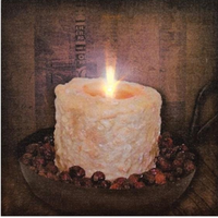 Canvas Lighted Rosehips and Candle LED