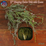 Weeping Cedar Icy Hanging Bush with Snow 17"