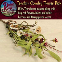 Tea-Stained  Multi Colored Daisy Flower, Pip Berry Collection