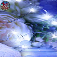 Fairy Solid or Twinkle Lights Battery Operated 3 Speed Modes, 20 LED Battery String Mini Lights Waterproof Wire